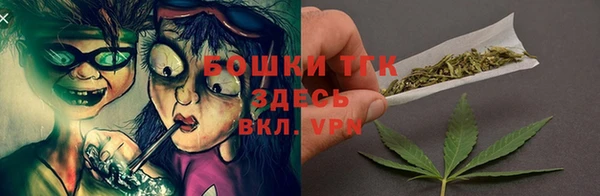 гидра Алексеевка