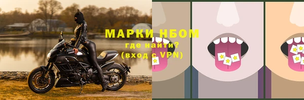 гидра Алексеевка