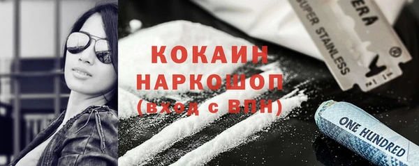 СК Алексин